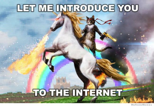 let-me-introduce-you-to-the-internet-mem